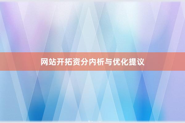 网站开拓资分内析与优化提议