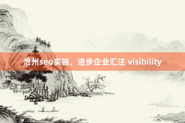 沧州seo实施，进步企业汇注 visibility