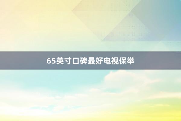 65英寸口碑最好电视保举